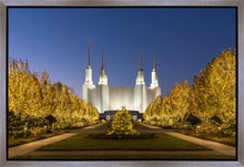 Load image into Gallery viewer, Washington DC Golden Christmas
