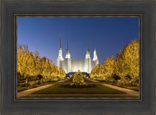 Load image into Gallery viewer, Washington DC Golden Christmas