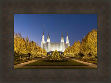 Load image into Gallery viewer, Washington DC Golden Christmas