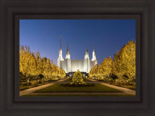 Load image into Gallery viewer, Washington DC Golden Christmas