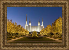 Load image into Gallery viewer, Washington DC Golden Christmas