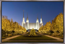 Load image into Gallery viewer, Washington DC Golden Christmas