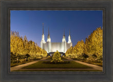 Load image into Gallery viewer, Washington DC Golden Christmas