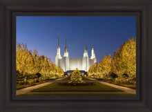 Load image into Gallery viewer, Washington DC Golden Christmas