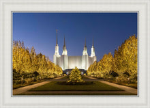 Load image into Gallery viewer, Washington DC Golden Christmas