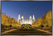 Load image into Gallery viewer, Washington DC Golden Christmas
