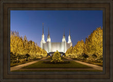 Load image into Gallery viewer, Washington DC Golden Christmas