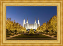 Load image into Gallery viewer, Washington DC Golden Christmas