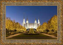 Load image into Gallery viewer, Washington DC Golden Christmas