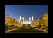 Load image into Gallery viewer, Washington DC Golden Christmas