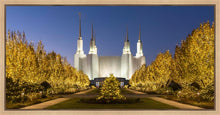 Load image into Gallery viewer, Washington DC Golden Christmas