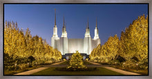 Load image into Gallery viewer, Washington DC Golden Christmas