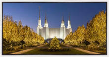 Load image into Gallery viewer, Washington DC Golden Christmas