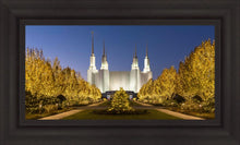 Load image into Gallery viewer, Washington DC Golden Christmas