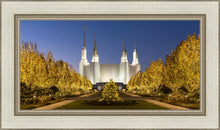 Load image into Gallery viewer, Washington DC Golden Christmas