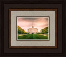 Load image into Gallery viewer, St. Louis Temple Brighter Days Ahead