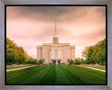 Load image into Gallery viewer, St. Louis Temple Brighter Days Ahead