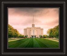 Load image into Gallery viewer, St. Louis Temple Brighter Days Ahead