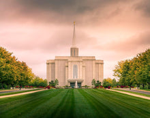 Load image into Gallery viewer, St. Louis Temple Brighter Days Ahead