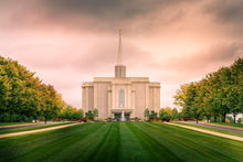 Load image into Gallery viewer, St. Louis Temple Brighter Days Ahead
