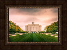 Load image into Gallery viewer, St. Louis Temple Brighter Days Ahead