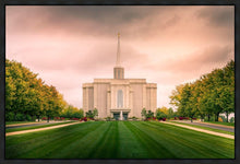 Load image into Gallery viewer, St. Louis Temple Brighter Days Ahead