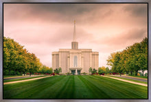 Load image into Gallery viewer, St. Louis Temple Brighter Days Ahead