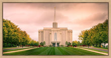 Load image into Gallery viewer, St. Louis Temple Brighter Days Ahead