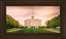 Load image into Gallery viewer, St. Louis Temple Brighter Days Ahead
