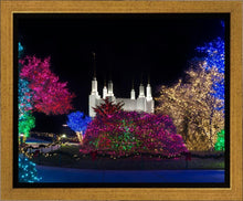 Load image into Gallery viewer, Washington DC Temple Colorful Christmas