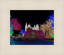 Load image into Gallery viewer, Washington DC Temple Colorful Christmas