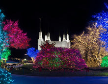 Load image into Gallery viewer, Washington DC Temple Colorful Christmas