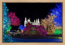Load image into Gallery viewer, Washington DC Temple Colorful Christmas