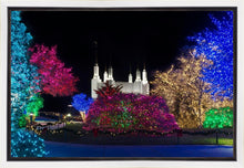 Load image into Gallery viewer, Washington DC Temple Colorful Christmas