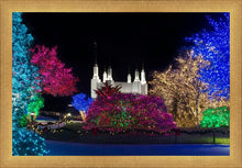 Load image into Gallery viewer, Washington DC Temple Colorful Christmas