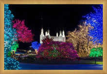 Load image into Gallery viewer, Washington DC Temple Colorful Christmas