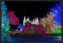 Load image into Gallery viewer, Washington DC Temple Colorful Christmas