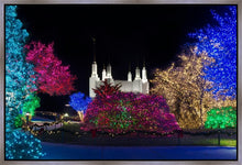 Load image into Gallery viewer, Washington DC Temple Colorful Christmas