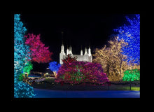 Load image into Gallery viewer, Washington DC Temple Colorful Christmas
