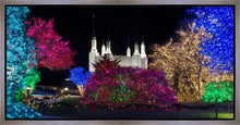 Load image into Gallery viewer, Washington DC Temple Colorful Christmas