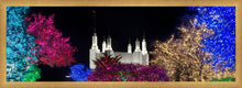 Load image into Gallery viewer, Washington DC Temple Colorful Christmas