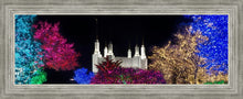 Load image into Gallery viewer, Washington DC Temple Colorful Christmas