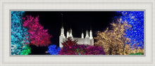 Load image into Gallery viewer, Washington DC Temple Colorful Christmas