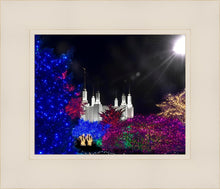 Load image into Gallery viewer, Washington DC Temple Christmas Spirit