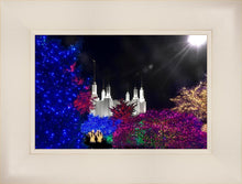 Load image into Gallery viewer, Washington DC Temple Christmas Spirit