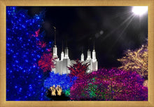 Load image into Gallery viewer, Washington DC Temple Christmas Spirit
