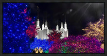 Load image into Gallery viewer, Washington DC Temple Christmas Spirit