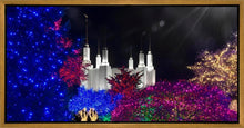 Load image into Gallery viewer, Washington DC Temple Christmas Spirit