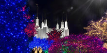 Load image into Gallery viewer, Washington DC Temple Christmas Spirit