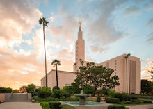 Load image into Gallery viewer, Los Angeles Eternal Gardens